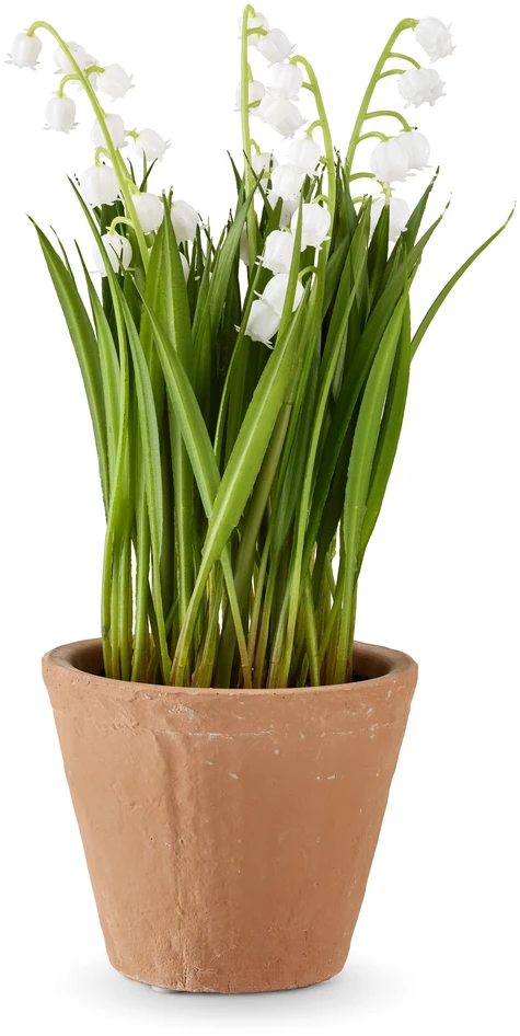 Maj - Konstväxt i kruka, H 24 Ø 14 cm - Grön