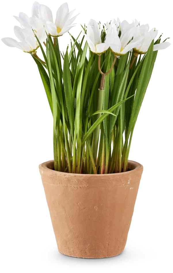 Maj - Konstväxt i kruka, H 24 Ø 14 cm - Grön