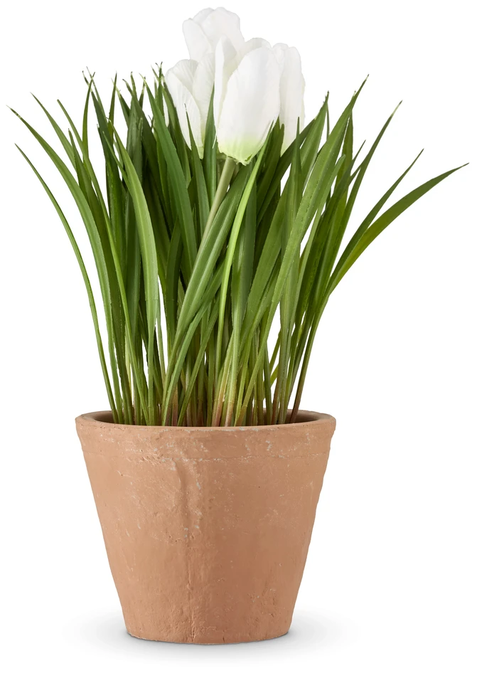 Maj - Konstväxt i kruka, H 24 Ø 14 cm - Grön