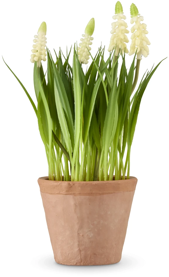 Maj - Konstväxt i kruka, H 24 Ø 14 cm - Grön