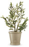 Saltsjö - Kruka, H 19 Ø 20,5 cm - Beige