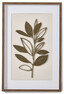 Leaf 3D - Tavla, 60x40 cm - Brun