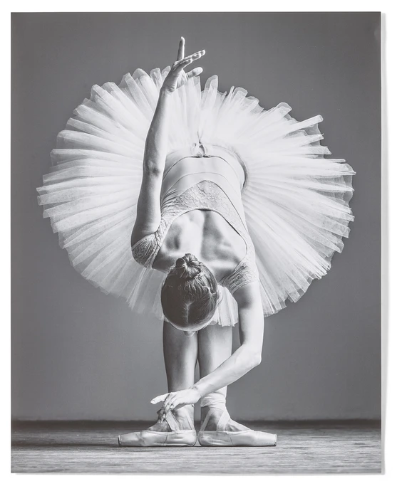 Posing, Poster, 50x40 cm