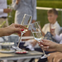 Tavira - Champagneglas, H 23 Ø 7 cm, 21 cl, 4-pack - inspiration