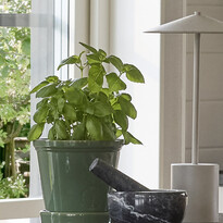 Saltsjö - Kruka, H 13 Ø 14 cm - inspiration