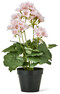 Pelargon - Konstväxt i kruka, H 41 Ø 26 cm - Rosa