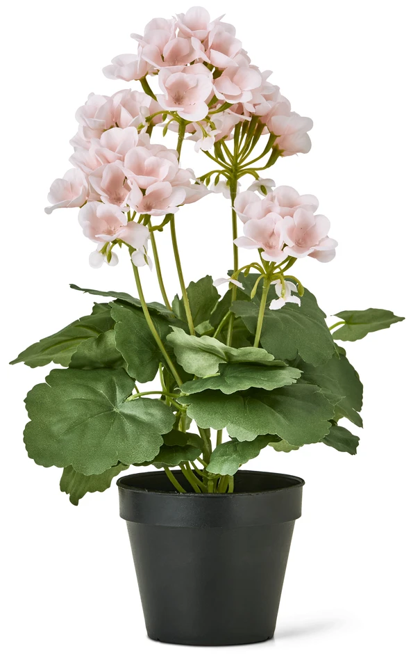 Pelargon - Konstväxt i kruka, H 41 Ø 26 cm - Rosa