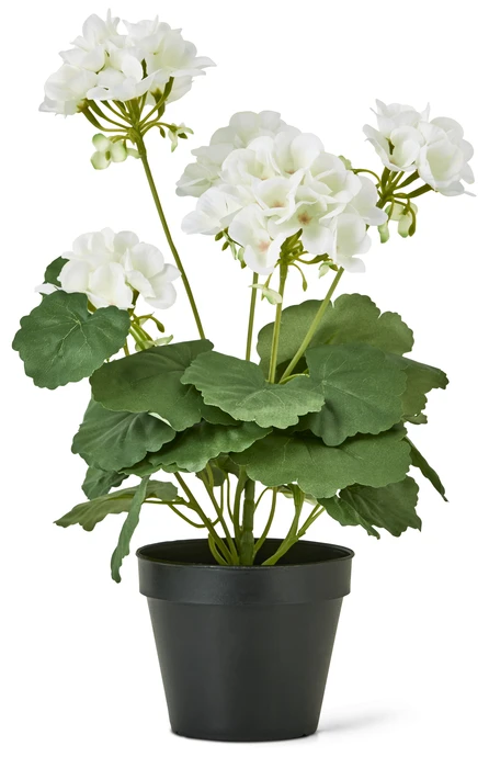 Pelargon, Konstväxt i kruka, H 41 Ø 26