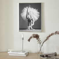 Posing - Poster, 50x40 cm - inspiration