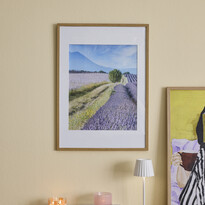 Lavender Field - Poster, 50x40 cm - inspiration