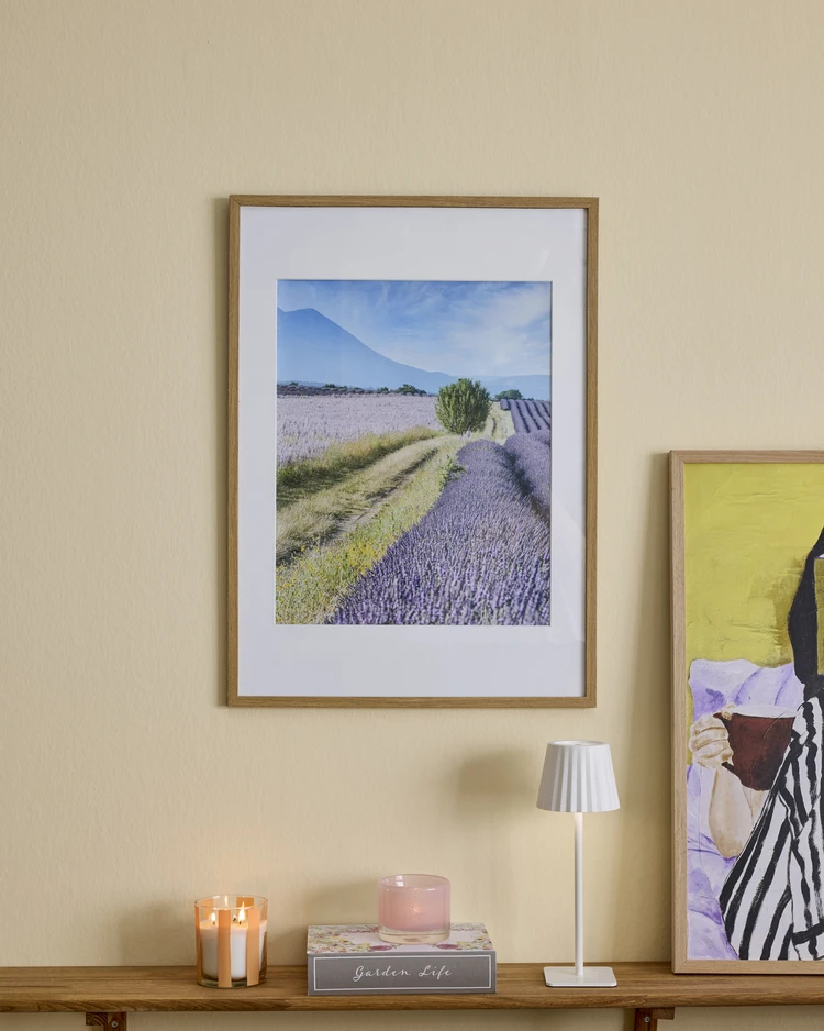 Lavender Field - Poster, 50x40 cm - inspiration