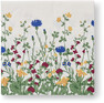 Sommaräng - Servett, 33x33 cm, 20-pack - Flerfärgad