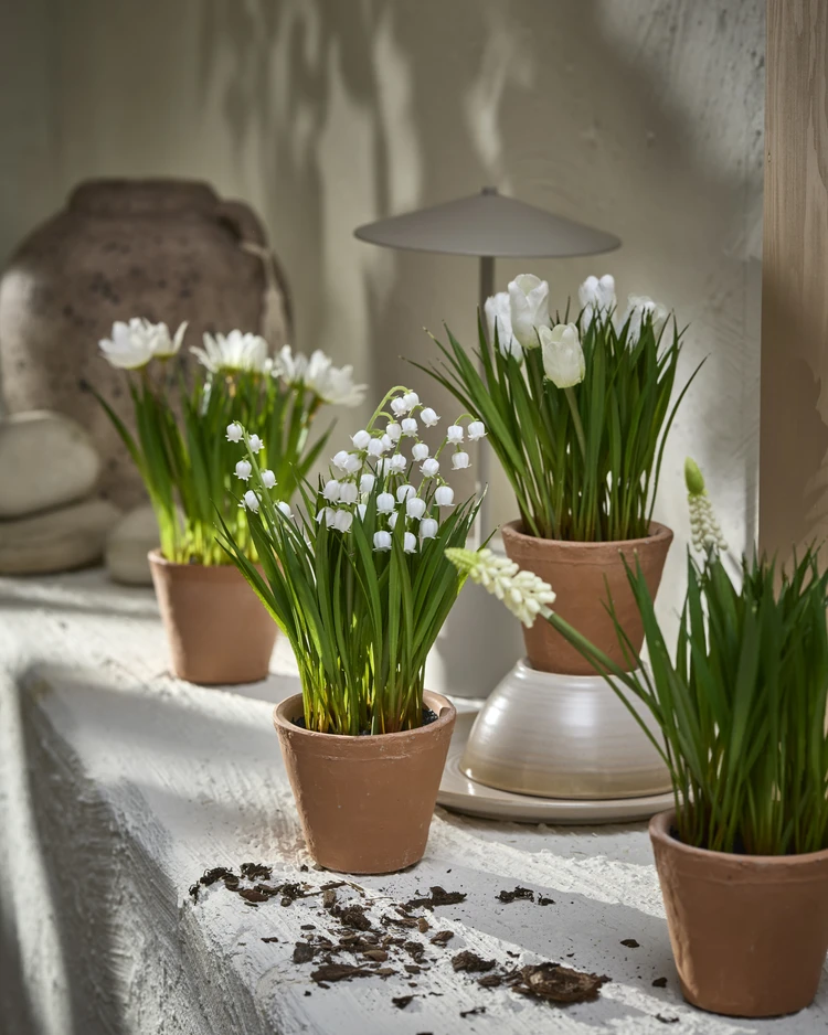 Maj - Konstväxt i kruka, H 24 Ø 14 cm - inspiration