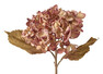 Hortensia - Konstväxt, H46 cm - Rosa