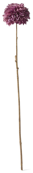 Dahlia - Konstväxt, H 59 cm - Lila