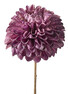 Dahlia - Konstväxt, H 59 cm - Lila