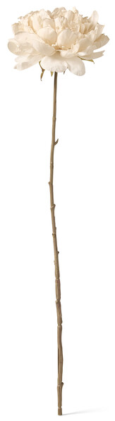 Pion - Konstväxt, H63 cm - Vit