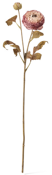 Ranunkel - Konstväxt, H61 cm - Rosa