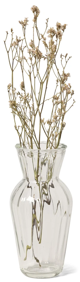 Paula - Vas, H 15, Ø 8 cm - Vit