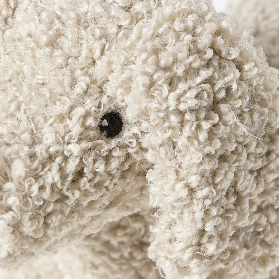 Curly - Hund - Beige