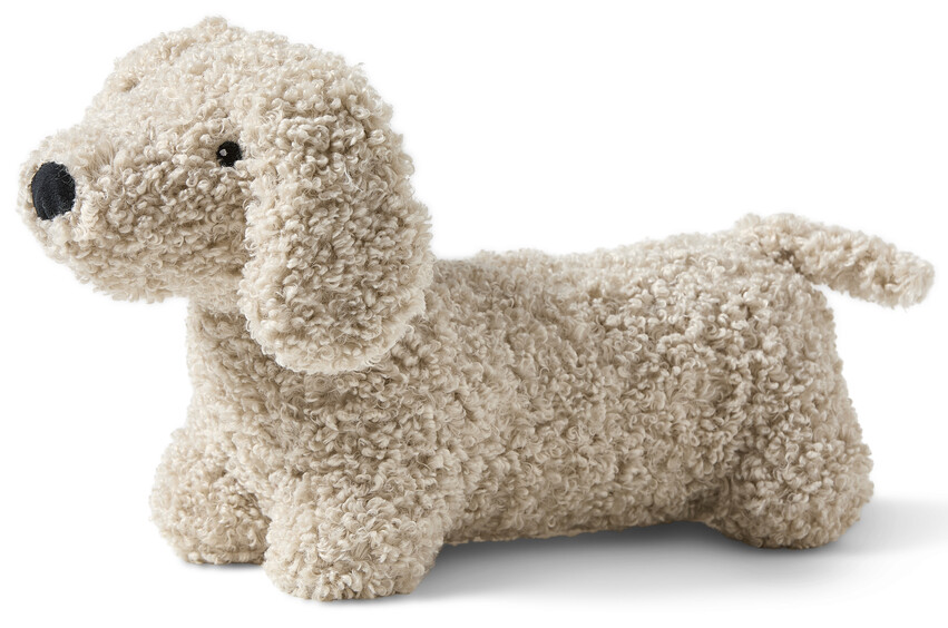 Curly - Hund - Beige