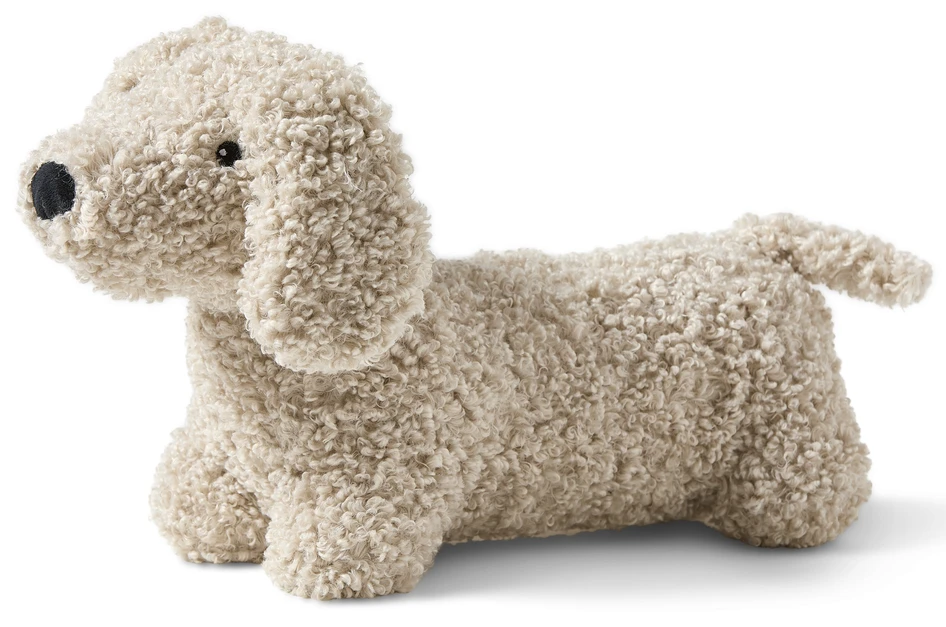 Curly - Hund - Beige