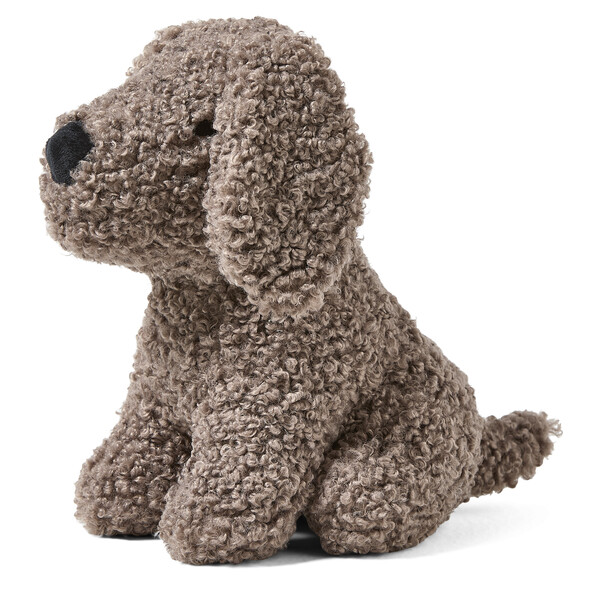 Curly - Hund - Brun