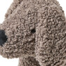 Curly - Hund - Brun