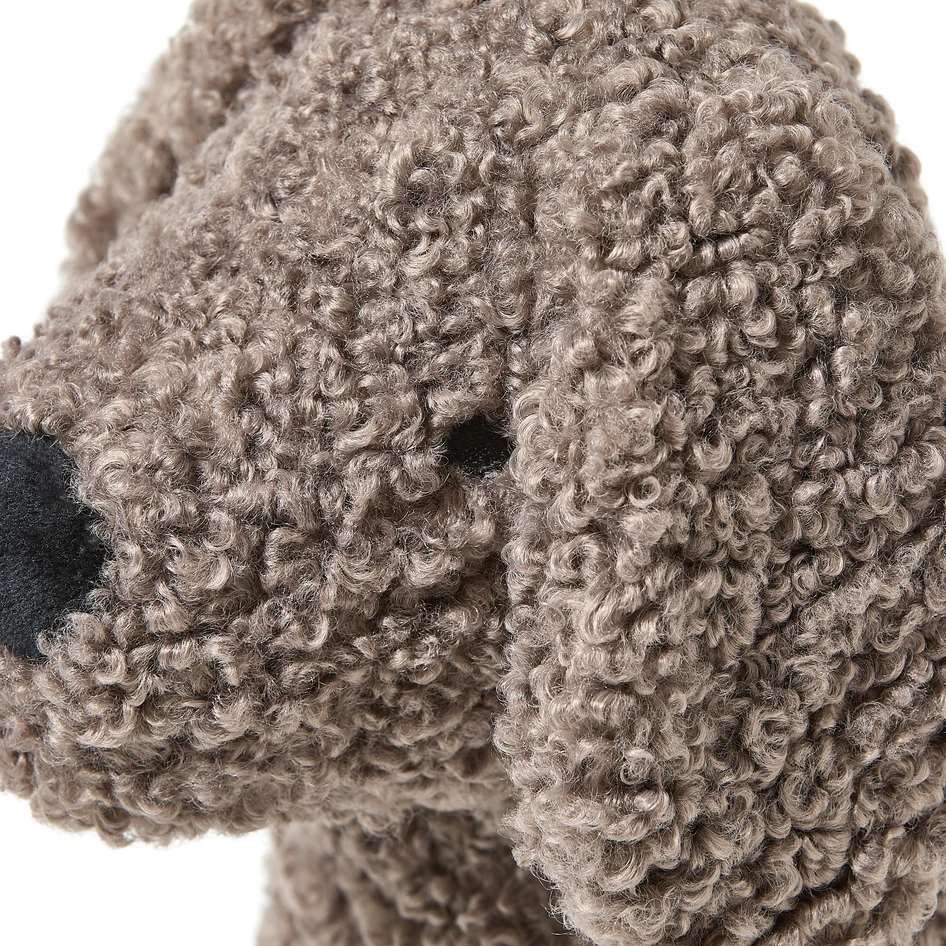 Curly - Hund - Brun