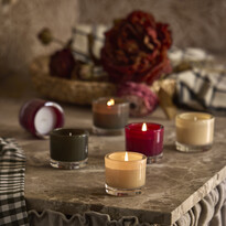 Mango Scent - Doftljus, brinntid 8h, 48 gr - inspiration