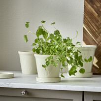 Saltsjö - Kruka, H 13 Ø 14 cm - inspiration