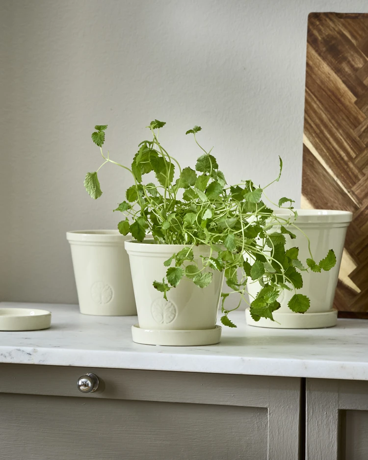 Saltsjö - Kruka, H 13 Ø 14 cm - inspiration
