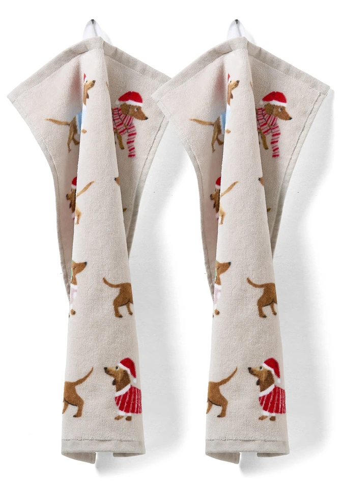 Taxsam  - Gästhandduk 2-pack, 30x50 cm - Flerfärgad