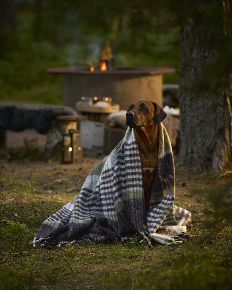 Ryder, Pläd, 130x170 cm