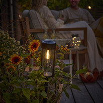 Noel - Solcellsbelysning H44 Ø7,5 cm - inspiration