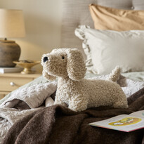 Curly - Hund - inspiration