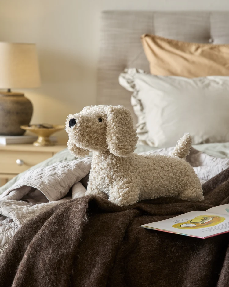 Curly - Hund - inspiration