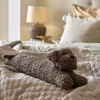 Curly - Hund - inspiration
