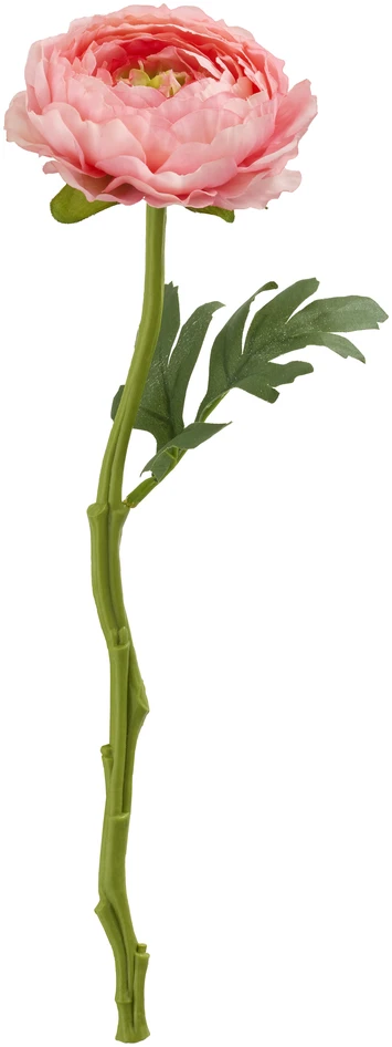 Ranunkel - Konstväxt, H32 cm - Rosa