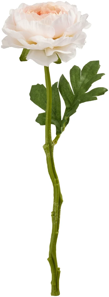 Ranunkel - Konstväxt, H32 cm - Vit