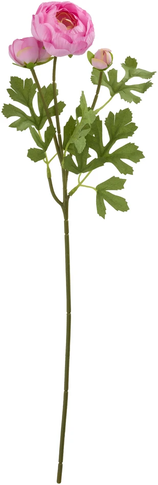 Ranunkel - Konstväxt, H 52 cm - Rosa