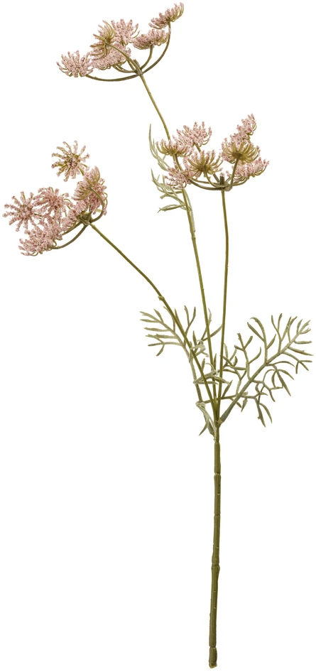 Blomstermorot - Konstväxt, H51 cm - Rosa