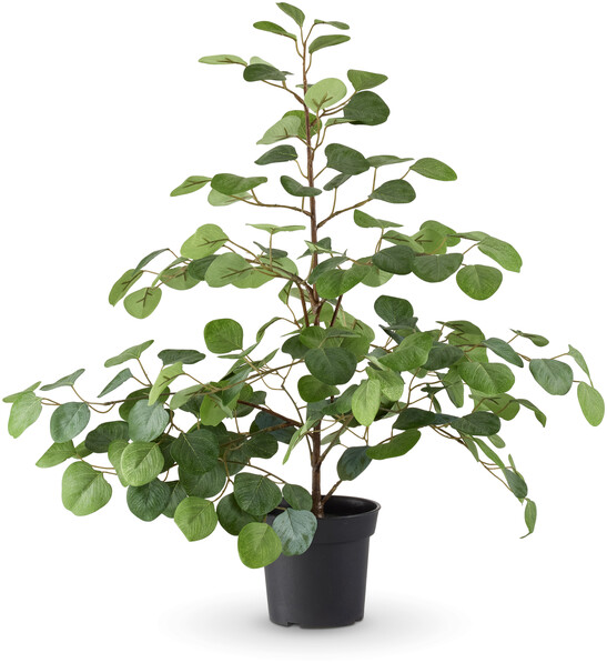 Pillerfikus - Konstväxt i kruka, H 70 Ø 60 cm - Grön