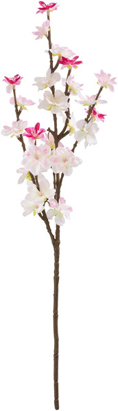 Körsbärskvist - Konstväxt, H 61 cm - Rosa