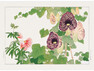 Albizia & Aristolochia flower - Poster