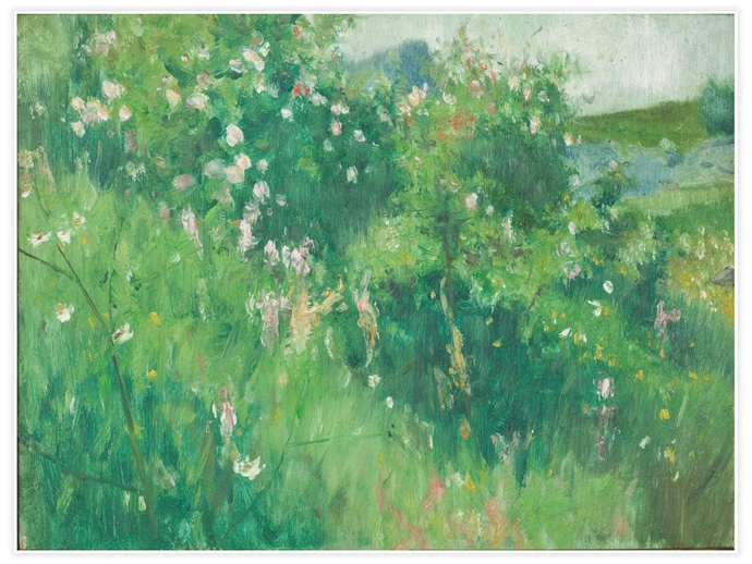 Blommande nyponbuskar, Hoga, Tjörn, Poster