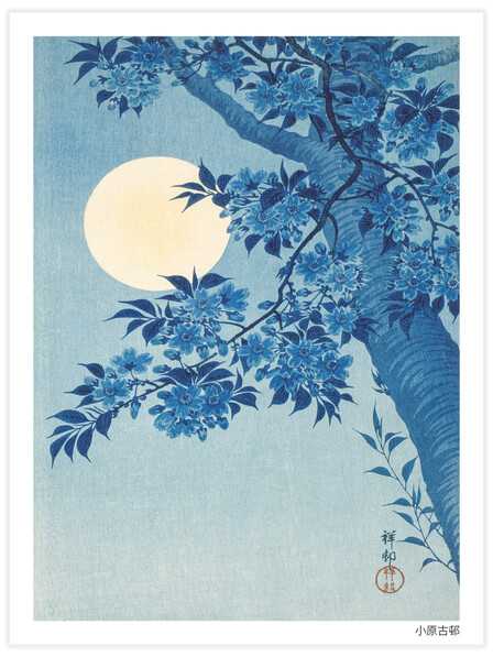 Blossoming Cherry on a Moonlit Night - Poster