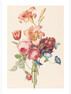 Bouquet - Poster