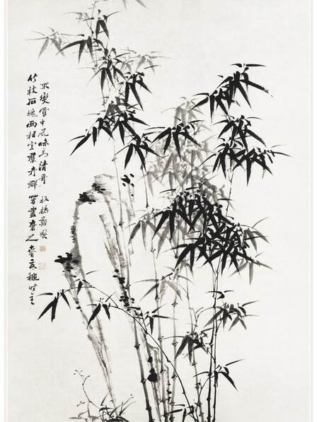 Chinese bamboo - Poster