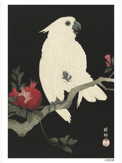 Cockatoo and pomegranate, Poster